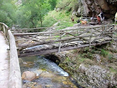 DSCN3746 DSCN3746