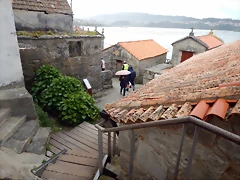 DSCN9854 DSCN9854