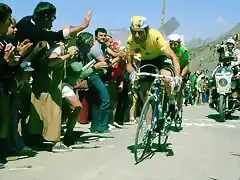 HINAUL,ZOETEMEL,TOUR 1979 ALPE  DHUEZ