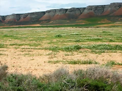 100_8264 100_8264