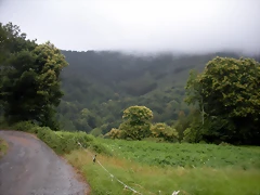 DSCN4837
