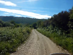 DSCN3195 DSCN3195