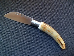 SAM_3507 SAM_3507