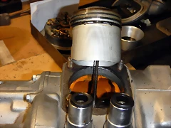 DSCN0184 DSCN0184