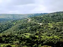 15, panormica desde el cerro, marca