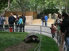 Zoo de Barcelona 24-04-11 039 Zoo de Barcelona 24-04-11 039