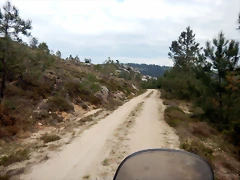 DSCN9553'5 DSCN9553'5