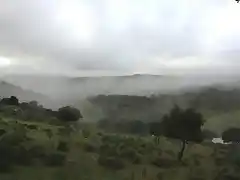 001, niebla en el vadillo