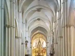 Catedral. Interior desde el trascoro