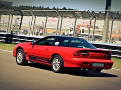 DSC_0716 DSC_0716
