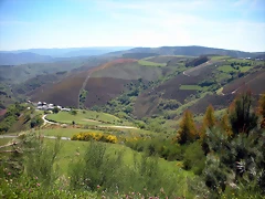 DSCN4995 DSCN4995