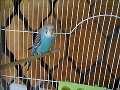 IMG_20190306_155056