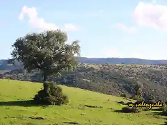 20, en el cerro del Gorgoritn, marca