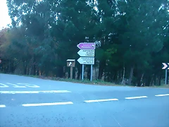 DSCN5022 DSCN5022