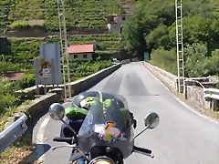IMG_20220809_164151 IMG_20220809_164151