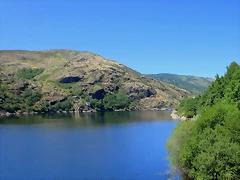 IMG_7767 IMG_7767