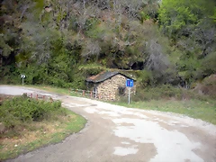 DSCN3937 DSCN3937