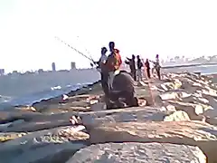 los pescadores