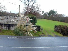 DSCN7367 DSCN7367
