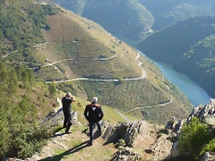 P1120150 P1120150