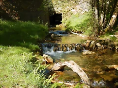 DSCN8989 DSCN8989