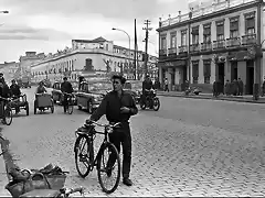 Sevilla Av. Menendez Pelayo