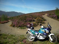 DSCN5105 DSCN5105