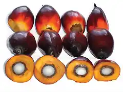 fruto_compacta_x_ghana