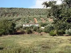 cortijo de juana la de la parrilla