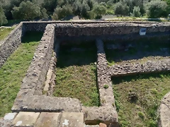 y16