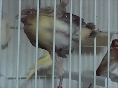 IMAG2440 IMAG2440