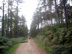 IMG_0435 IMG_0435