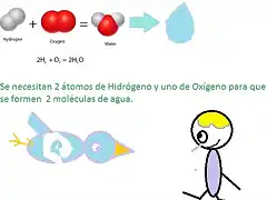 FormacionAgua