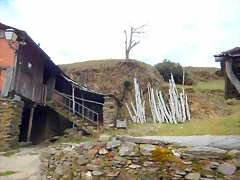 DSCN9488 DSCN9488