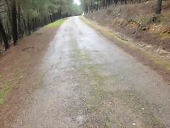 P1030032 P1030032
