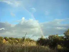 despus de la tormenta