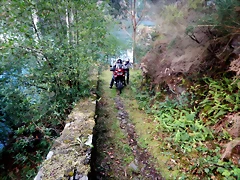 DSCN0277 DSCN0277
