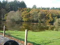 DSCN4647 DSCN4647