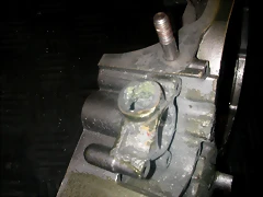 DSCN3646 DSCN3646