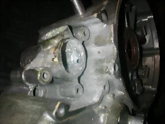 DSCN3645 DSCN3645