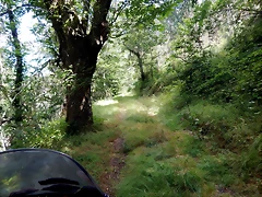 DSCN7638 DSCN7638