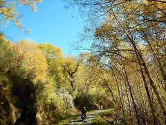 DSCN9091 DSCN9091