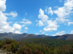 DSCN1108 DSCN1108