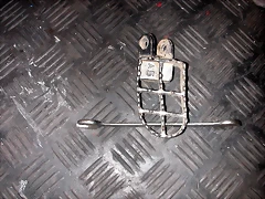 DSCN0234 DSCN0234