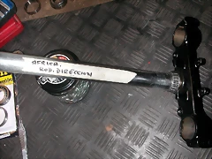 DSCN0176 DSCN0176