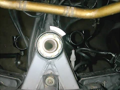 DSCN0187 DSCN0187