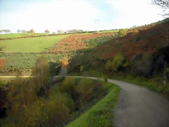 DSCN0549 DSCN0549