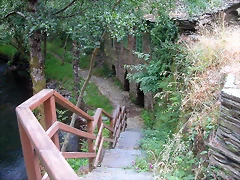 DSCN3302 DSCN3302