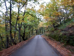 DSCN9953 DSCN9953