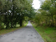 DSCN5827 DSCN5827